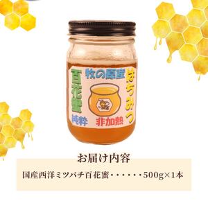蜂蜜 はちみつ 百花蜜 西洋ミツバチ 500g×1本 はちみつ