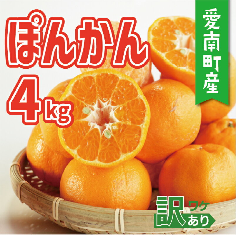 【ふるさと納税】訳あり ポンカン 4kg 7000円 みかん 蜜柑 ぽんかん 産地直送 国産 農家直送 糖度 期間限定 数量限定 特産品 人気 限定 甘い フルーツ 果物 柑橘 小玉 含む 規格外 サイズ ミックス 傷み補償 500g ミッチーのおみかん畑 愛南町 愛媛県