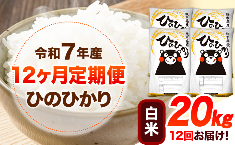 令和7年産【12ヶ月定期便】 白米 ひのひかり 20kg 《お申込み翌月から出荷》 熊本県産 白米 精米 ひの 送料無料 熊本県 山江村 SDGs 米 コメ こめ 国産---hn7tei_594000