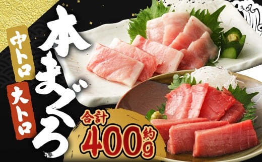 【ふるさと納税】訳あり 長崎県産 本マグロ 大トロ・中トロセット 皮付き 部位おまかせ 計約400g お魚 魚 まぐろ マグロ 鮪 トロ 大トロ 中トロ 養殖 国産 冷凍 お刺身 刺し身 刺身 赤身 400g セット 詰め合わせ おまかせ
