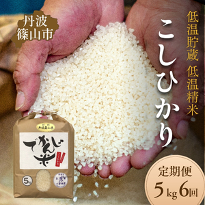 【定期便6回】丹波篠山市 コシヒカリ でかんしょ米 5kg×6回 令和7年産 こしひかり