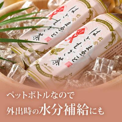 ふるさと納税 羽咋市 能登のはとむぎ茶　500ml×24本 |  | 02