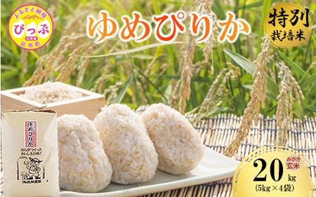 令和7年産 特別栽培米 ゆめぴりか みがき玄米 20kg（5kg×4）【西間農園】玄米 お米 米 北海道産 北海道米 特Aランク 国産 コメ JGAP認証農場 北海道 比布町 ぴっぷ 1005-053