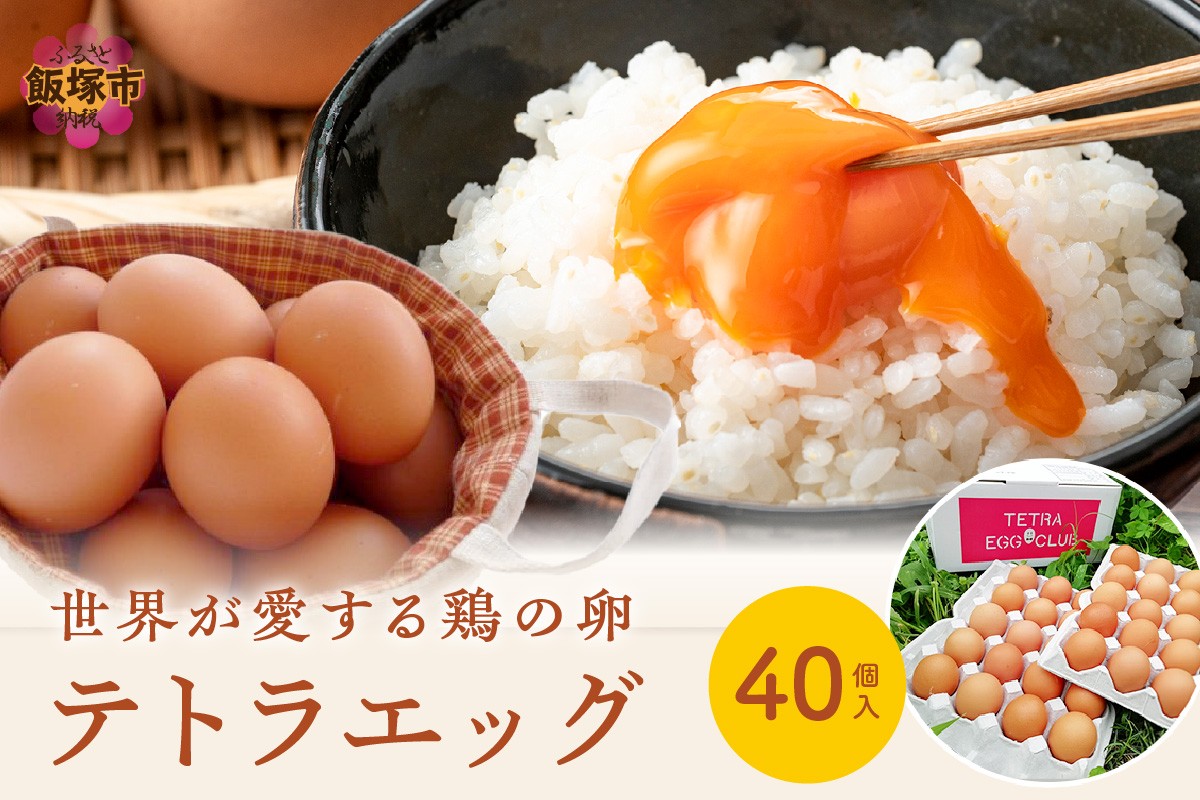 
テトラエッグ40個入【A5-459】
