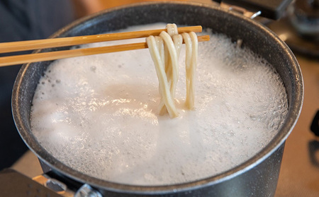 うどん 冷凍 かけ うどん 200g×5袋（出汁×5袋つき）