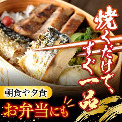 ふるさと納税 根室市 [個包装]塩さばフィレ1枚×35P B-09032 |  | 02