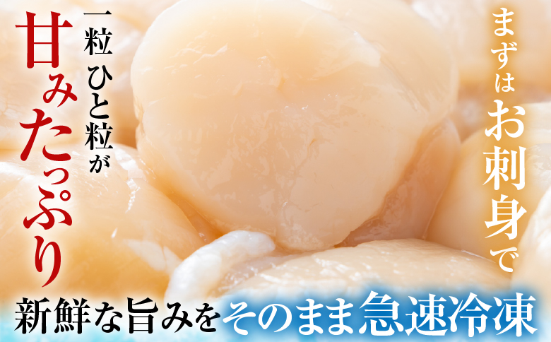 ＼漁業者応援品／【北海道根室産】お刺身帆立貝柱600g×1P B-42076