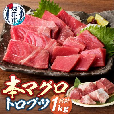 ふるさと納税 焼津市 本マグロ トロ ブツ 1kg(a20-428)