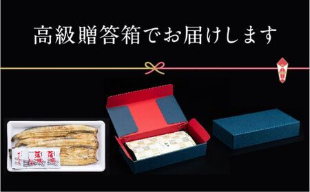 うなぎ 朝じめ 溶岩焼き 白焼き 2尾 土用の丑の日 うなぎ