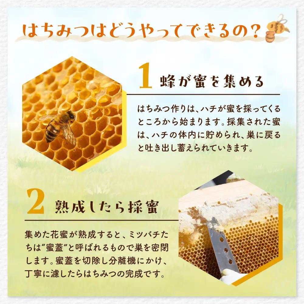 【2026年8月発送】はちみつ【千代田町の蜂蜜】500g「とち」はちみつ