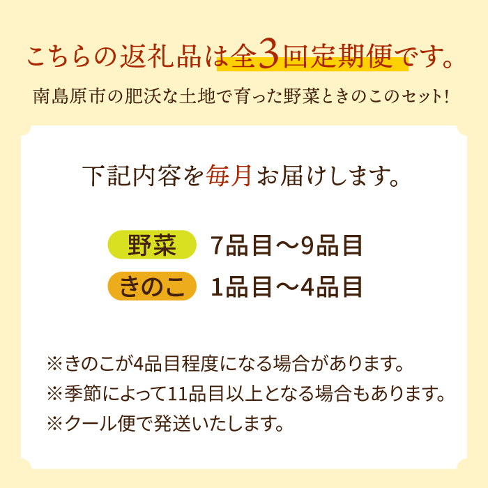 【毎月コース】野菜 キノコ 10品目以上 詰め合わせ 3回定期便 / 野菜定期便 やさい定期便 きのこ セット 定期便 / 南島原市 / 吉岡青果 [SCZ022]_イメージ5