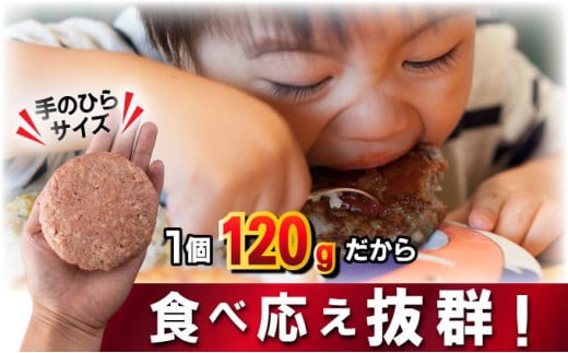 《数量限定》選べる個数 22個 8個 佐賀牛ハンバーグ120g ふっくらジューシー！