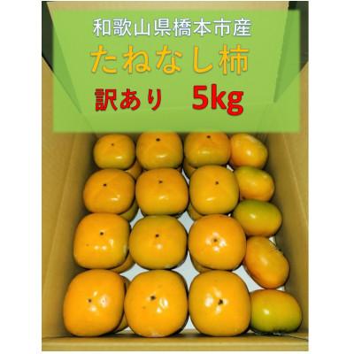 ふるさと納税 橋本市 【令和7年10月発送予定】藤田ぶどう園のたねなし柿(訳あり)5kg