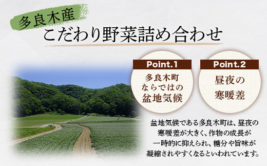 熊本の大地の恵み 旬の こだわり野菜詰め合わせセット 8〜12品 （3〜4名様向け）野菜 獲れたて 新鮮 野菜 セット 詰め合わせ 詰合せ 産地 直送 国産 季節 野菜 家族 ファミリー 多良木町 0