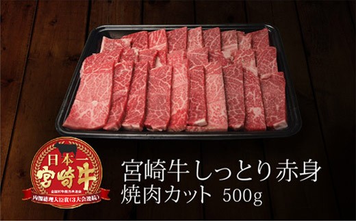 
＜宮崎牛＞赤身焼肉カット500g【B217】
