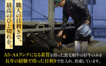 くまもと黒毛和牛「藤彩牛」サーロインステーキ 約200g【株式会社フジチク】[BHAD125]