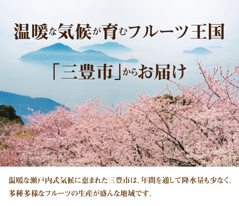 M02-0035_ふるーつ物語 越冬完熟 「袋掛けみかん」 約7kg