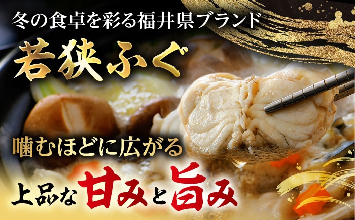 若狭ふぐ とらふぐ 鍋セット 福井 産地直送 ふぐ鍋 てっちり 旬 海鮮鍋