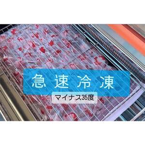 【久米原農園】最高金賞受賞！ 埼玉県 本庄市産 いちご 冷凍 あまりん 1㎏(500g×2) 急速冷凍 フローズン 果物 くだもの フルーツ 苺 イチゴ ストロベリー デザート 食品 小分け 自宅用 