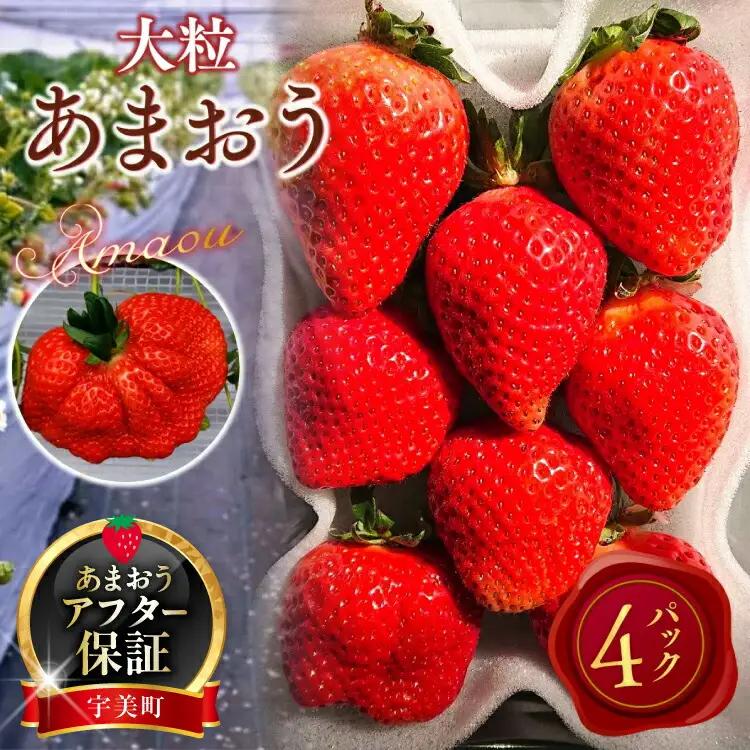 いちご あまおう 厳選大粒 4パック いちご 【2027年発送】