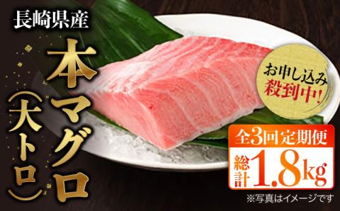 【先行予約】【全3回定期便 (月1回) 】長崎県産 本マグロ 大トロ皮付き 約600g 【大村湾漁業協同組合】 [BAK028] / マグロ まぐろ大トロ 大とろ 刺身