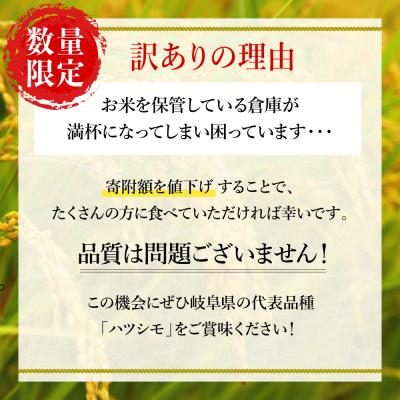 ふるさと納税 関市 【訳あり】期間限定で寄附額改定!令和7年産 ハツシモ【白米】5kg 数量限定 M8 |  | 01