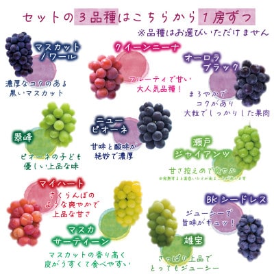 【2026年先行受付】岡山　花笑み農園の『食べ比べ4種』シャイン入り　贈答用　2kg(4房)4M-2【配送不可地域：離島・北海道・沖縄県】