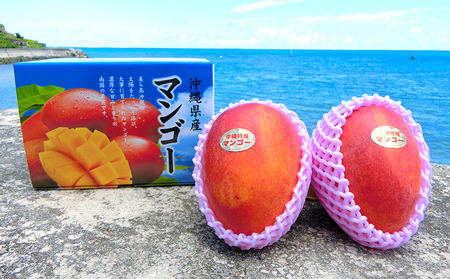 【2024年発送】久米島印商店 完熟マンゴー 1kg