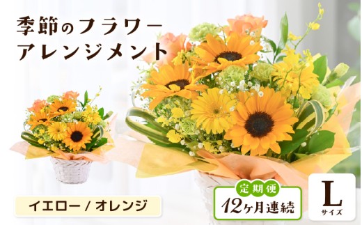 定期便 ≪12ヶ月連続お届け≫ 選べるカラー 季節のフラワーアレンジメント L (イエロー・オレンジ) 【お花 フラワー アレジメント 花束 ギフト 生花 プレゼント 花束 花 記念日 敬老の日 お祝い】 [O-20703_02]