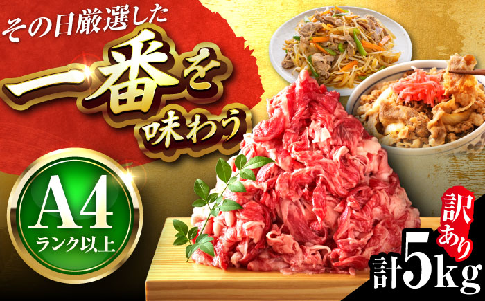 【訳あり】【A4～A5】博多和牛 切り落とし 5kg(500g×10パック) 吉富町/株式会社MEAT PLUS [BGAB040]