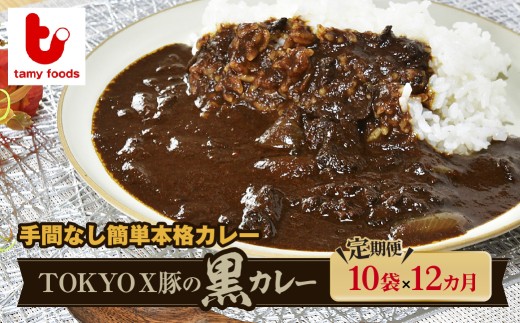 【定期便12ヵ月】TOKYOX豚の黒カレー 180g×10袋 訳あり |  カレー かれー 訳ありカレー 時短カレー レンチンカレー ポークカレー 冷凍カレー 冷凍食品 ブランド豚 TOKYOX豚 ジューシー 保存食 常備食 プレゼント 自宅用 本格 中辛 たまねぎ おいしい おすすめ 人気 タミー食品 埼玉県 所沢市