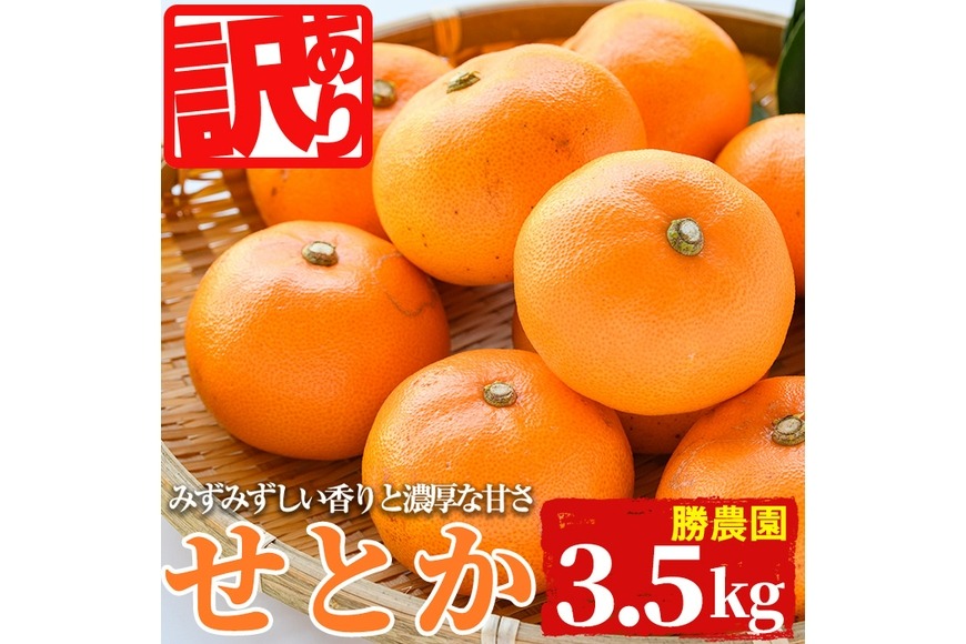 ＜訳あり！＞宮崎県門川町産せとか(約3.5kg)柑橘 果物 数量限定 期間限定 国産 フルーツ 常温保存 遠見半島 宮崎県 門川町【AE-24】【勝農園】