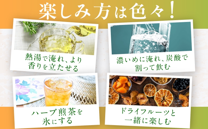 ハーブティー お茶 八女茶 エルダーフラワー