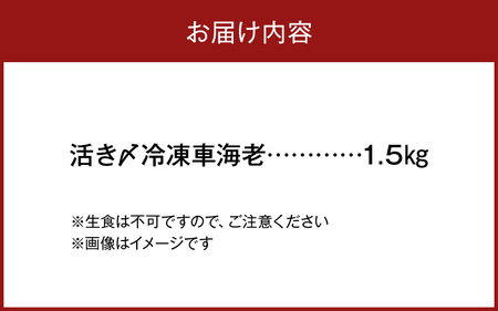 S065-004A_活き〆冷凍車海老 1.5kg (500g×3パック)  / 車エビ 車海老 エビ えび