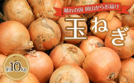 玉ねぎ 岡山市産 約10kg 2025年 先行予約  野菜 たまねぎ タマネギ オニオン
