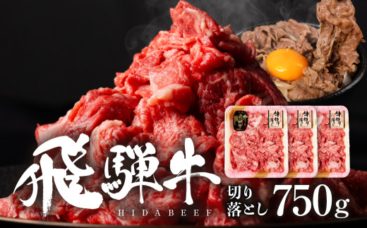 飛騨牛切り落し 750g (250g×3p) 牛肉 和牛 国産 すきやき 肉じゃが カレー ビーフシチュー 肉野菜炒め だるまミート 14000円 [S932]