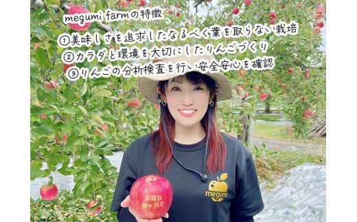 【10月中旬発送】訳あり りんご 糖度14度以上 高糖度 megumi farmのサンジョナゴールド 家庭用 約3kg（6〜7玉入） 果物 フルーツ 産地直送 料理 青森県 鰺ヶ沢町