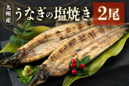 うなぎの塩焼き 2尾 合計320g以上 九州産【C403】