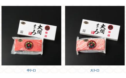 【セット】大間まぐろ２種セット（中トロ1サク、大トロ１サク）２００ｇ相当×２（冷凍）