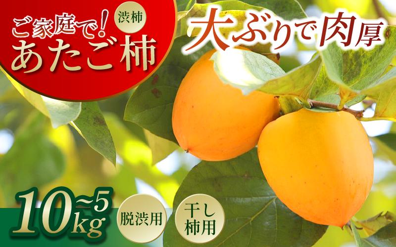 
            柿 渋柿 かき 5kg ～ 10kg 15玉 ～ 40玉 渋柿 干し柿 用 あたご柿 愛宕柿 カキ 15玉 ～ 20玉 国産 フルーツ 果物 果実 愛宕柿 柿餅 かき餅 秋 甘い 肉厚 旬 脱渋 ご家庭で 人気 オススメ お取り寄せ 手仕事 目利き 特選 林青果 秘境 みよし 三好市 徳島県
          