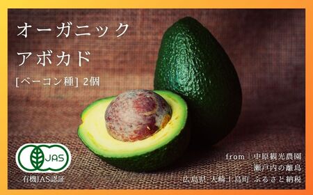 国産 オーガニック アボカド ( ベーコン種 ) 2個