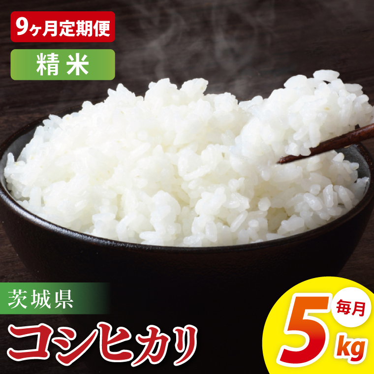 【9ヶ月定期便】茨城県産コシヒカリ　精米　5kg｜お米 米 ごはん 阿見町 茨城県 茨城県産 茨城県産米（85-95）