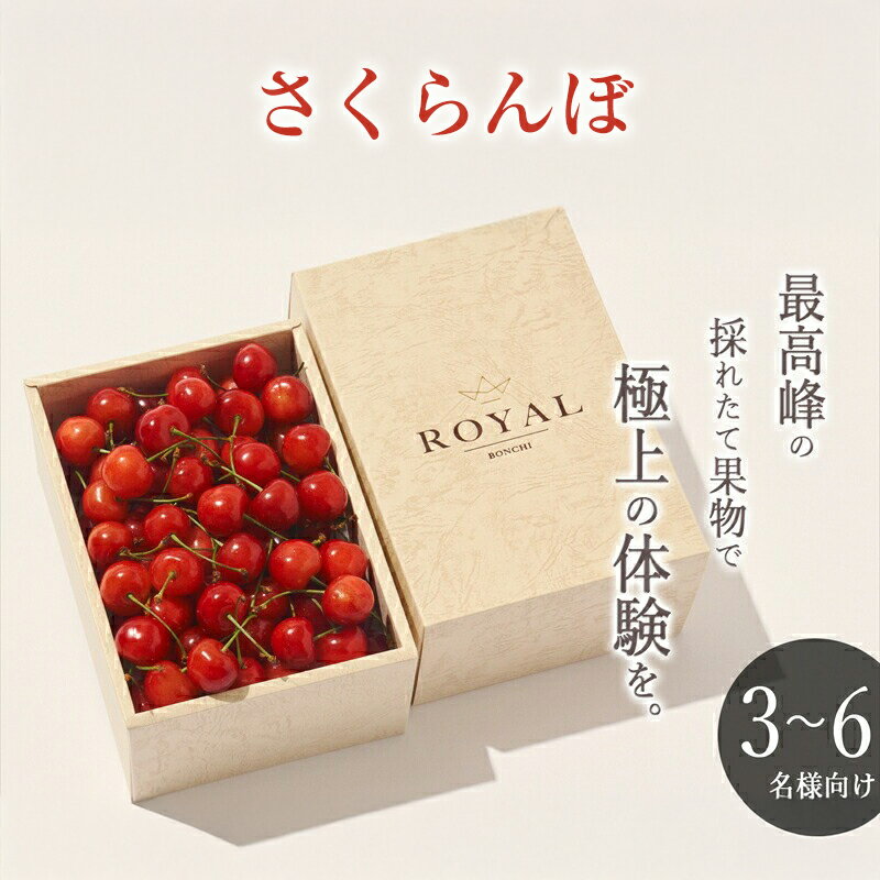 【ふるさと納税】 2.3-1-2 ＜先行予約2024年＞山梨県産さくらんぼ L,2Lサイズ BOX 500g ふるさと納税 おすすめ 山梨県 南アルプス市 送料無料 ALPAL025