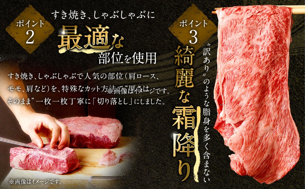 【食べ比べ】 佐賀牛 & 博多和牛 リッチな霜降り 大判 切り落とし 2kg (500g×4) / 2種類 黒毛和牛 黒毛和種 和牛 牛肉 お肉 肉 霜降り 九州 福岡県 太宰府市 冷凍