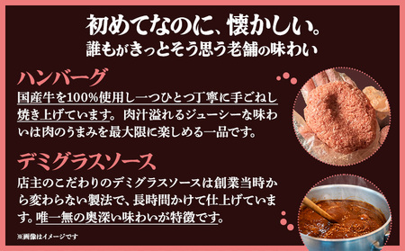 デミグラスソース ハンバーグ 200g×5 計1kg キッチンふじ 冷凍 《60日以内に出荷予定(土日祝除く)》ジューシー 肉 牛肉 熊本県御船町 惣菜 お弁当 加工食品