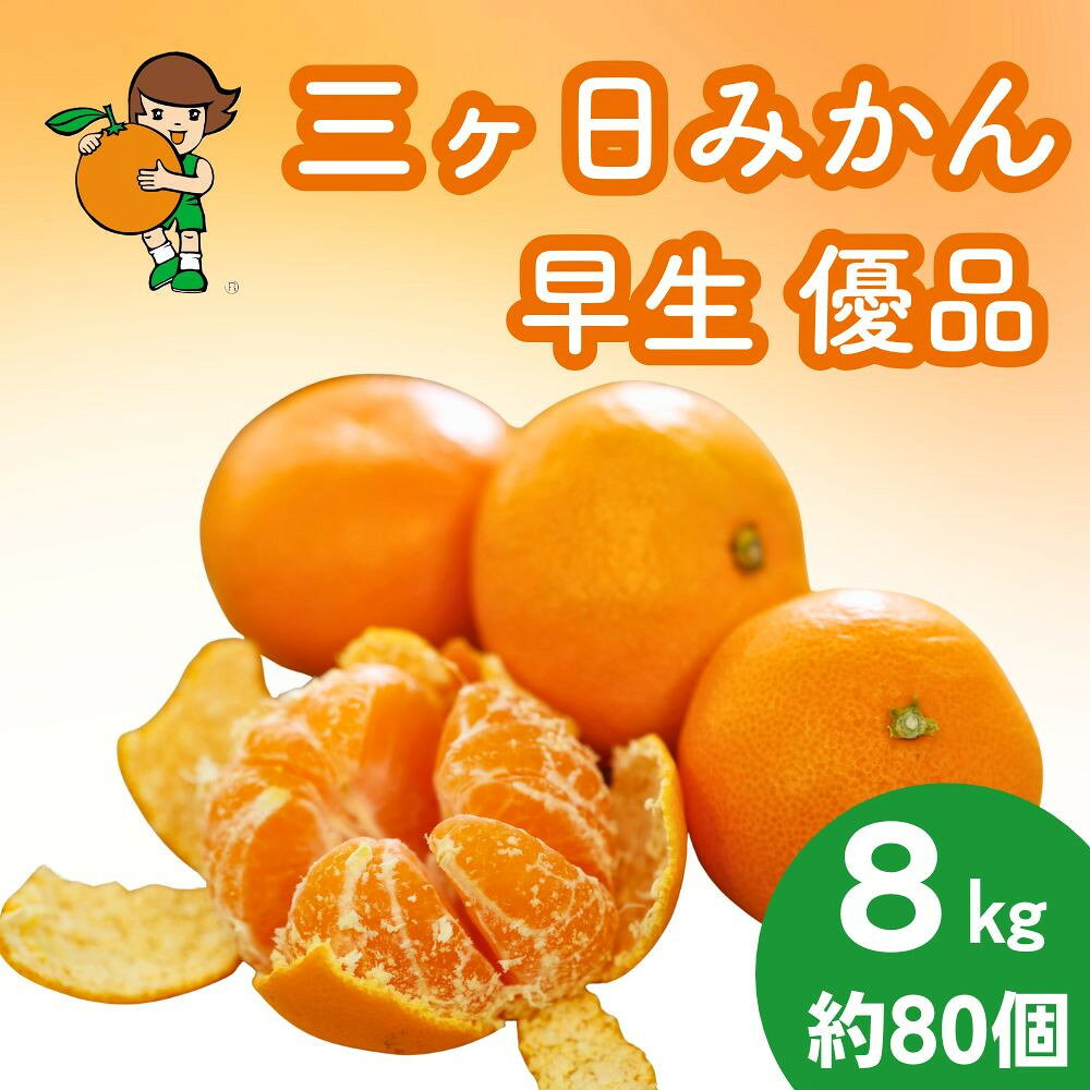【ふるさと納税】三ヶ日みかん（早生温州）8kg【2026年11月中旬から12月上旬順次発送】 | 果物 フルーツ 蜜柑 ミカン 静岡産 名産 特産 名物 旬 食品 人気 おすすめ 送料無料