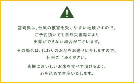＜【12ヶ月定期便】令和6年産 宮崎県産 夏の笑み（無洗米）5kg＞お申込みの翌月中旬頃に第1回目発送（8月は下旬頃） 米 夏の笑み 無洗米 精米 希少 品種 白米 お米 ご飯 宮崎県産