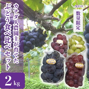 世羅産ぶどう食べ比べセット 約2kg【先行予約・数量限定】カナダ人農園主 ぶどう ブドウ マスカット フルーツ 果物 くだもの 産地直送 世羅 ラピアビンヤード【2026年9月下旬以降順次発送】 A021-08