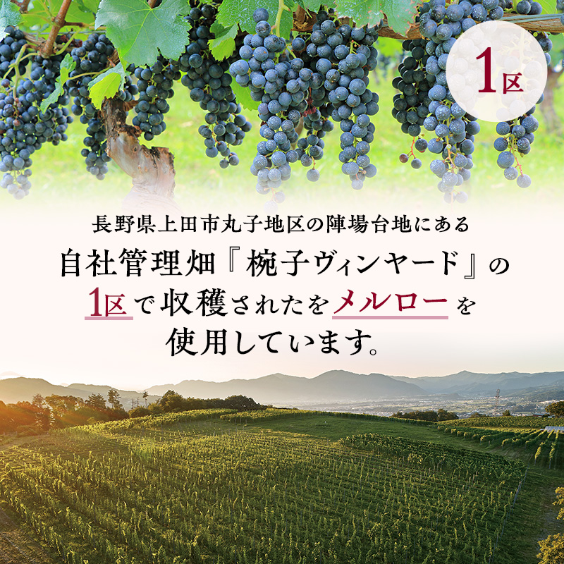 限定 ワイン 椀子メルロー ブロック1 750ml 椀子ワイナリー限定品 シャトー・メルシャン メルロー 赤ワイン フルボディ お酒 酒 アルコール ギフト 贈り物 プレゼント