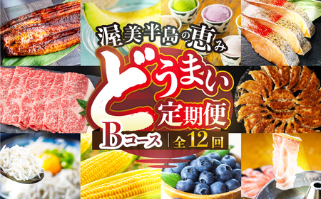 【定期便】どうまい定期便 12回 肉コース